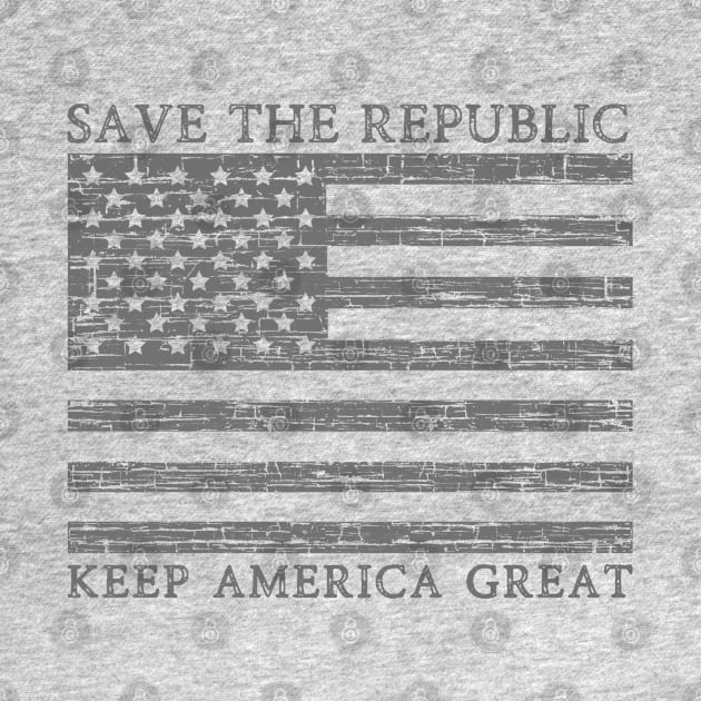 Save the Republic by The Good Message Store